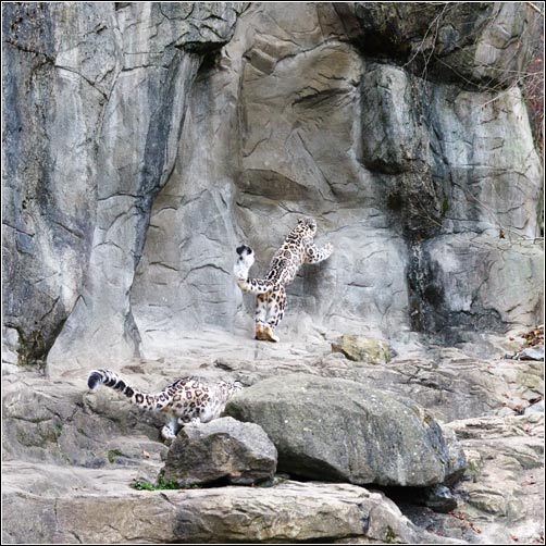 von Kailash, den ich in Bildern