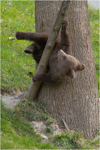 vielleicht geht es so