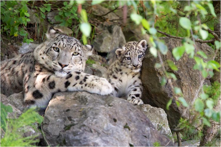 Irgendwie fühle ich mich beobachtet.