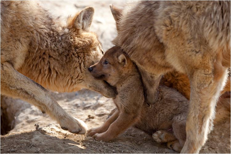 damit er ganz frisch den Tag geniessen kann.