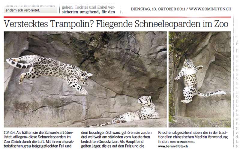 Publikation in der Zeitung 20 Minuten vom 18.10.2011