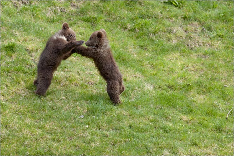 das werden wir sehen