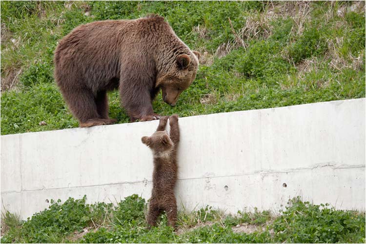 Du wirst es schaffen!