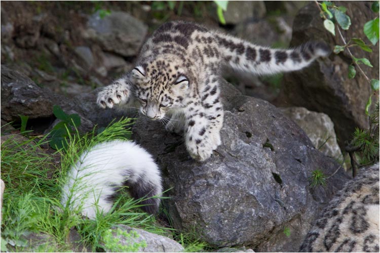  ich muss es von oben versuchen