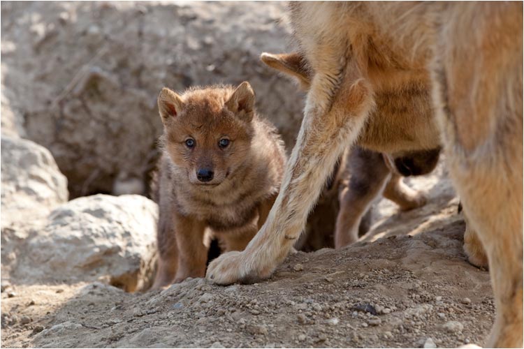Es ist alles so neu hier Oben