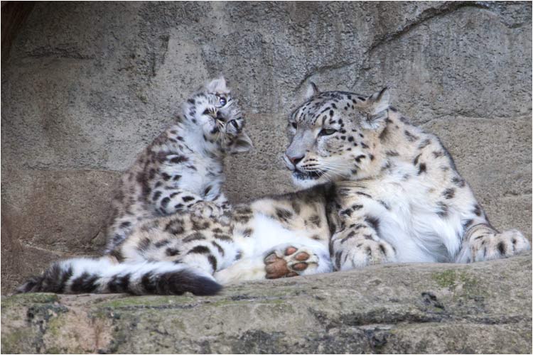 Mami ich habe Wasser in den Ohren