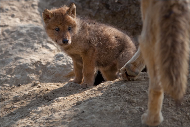 Ich muss mich mal rumschauen