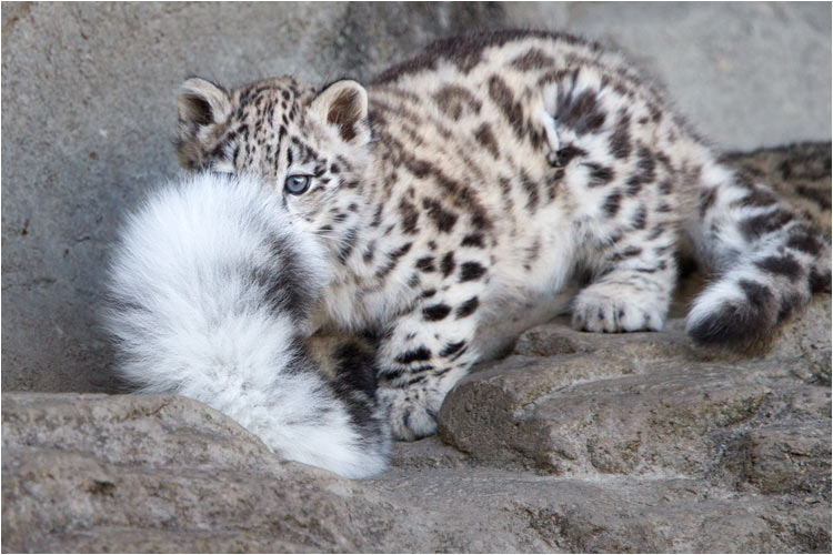 und faszieniert mich immer wieder