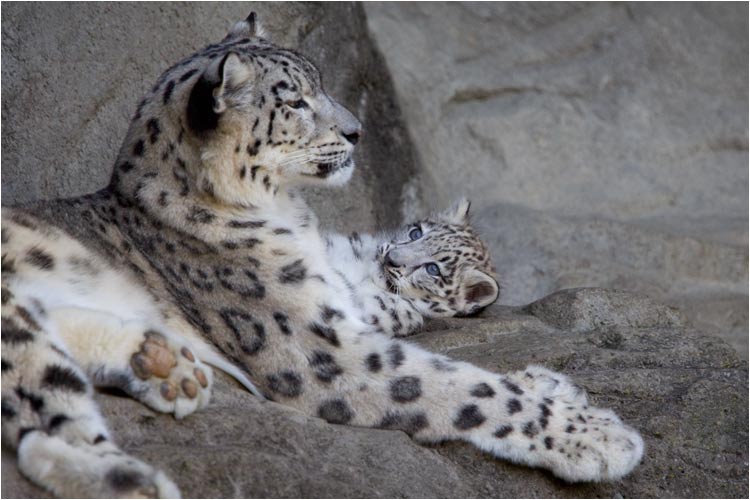 Hallo Mami, ich will mit dir spielen