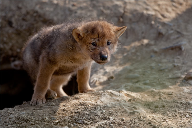 aber es ist wirklich steil hier.
