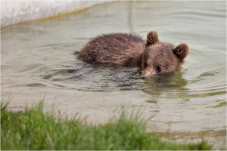 Erste Tauchgang gestartet