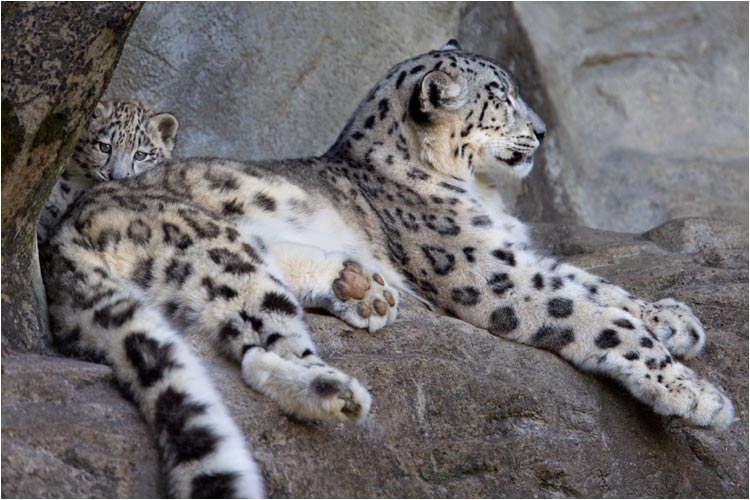 Hinter Mami fühle ich mich in Sicherheit