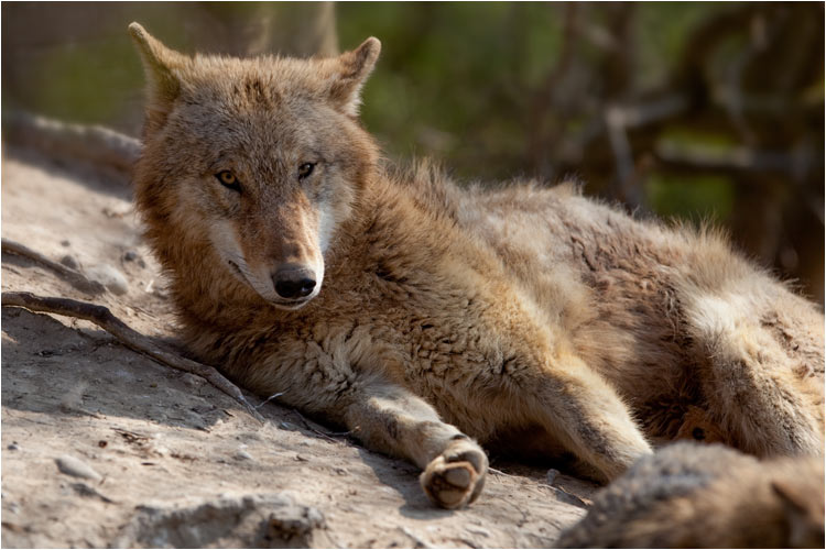Hey du, kannst auch mal mich fotografieren!