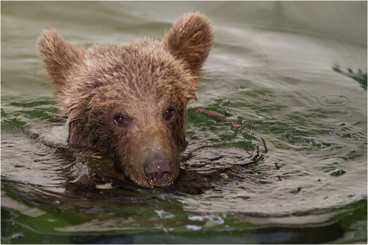 Hey Du, solltest auch baden kommen, das Wasser ist so erfrischend!