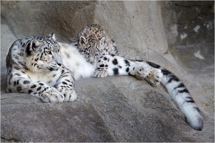 Es ist ein bisschen unkonventionell, aber es geht so auch