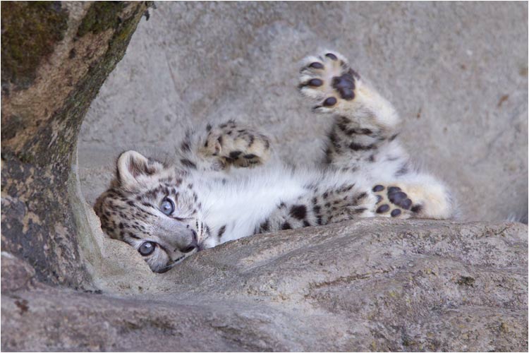 Wer will mit mir spielen?