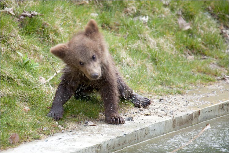 Jetzt wieder mal kräftig schütteln