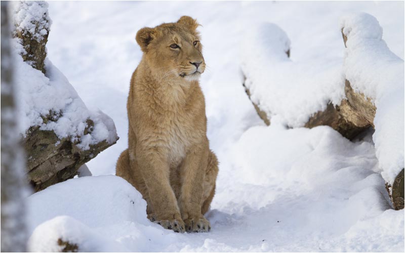 Jetzt mal abwarten bis die Schwester kommt