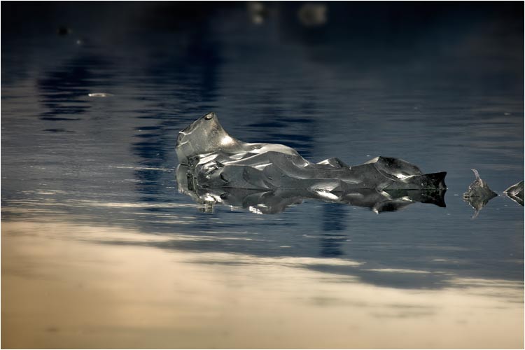 Eisbrocken zieht los Richtung Meer, Jökusarlon Ice Lagoon