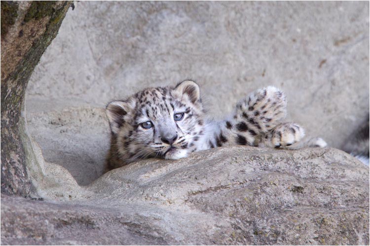 Oder kommt doch keiner?