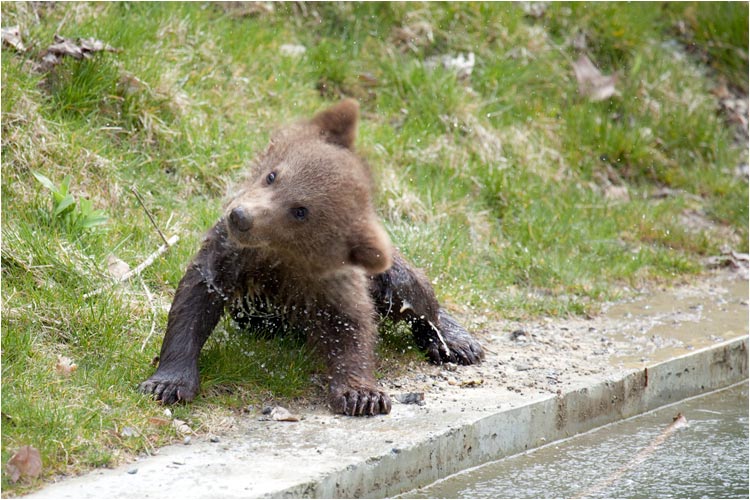 damit das Wasser raus kommt.