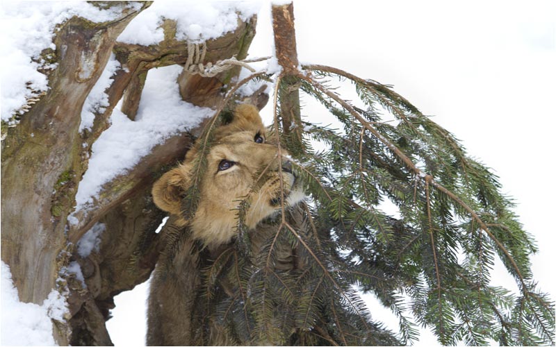 Da hat sich etwas bewegt