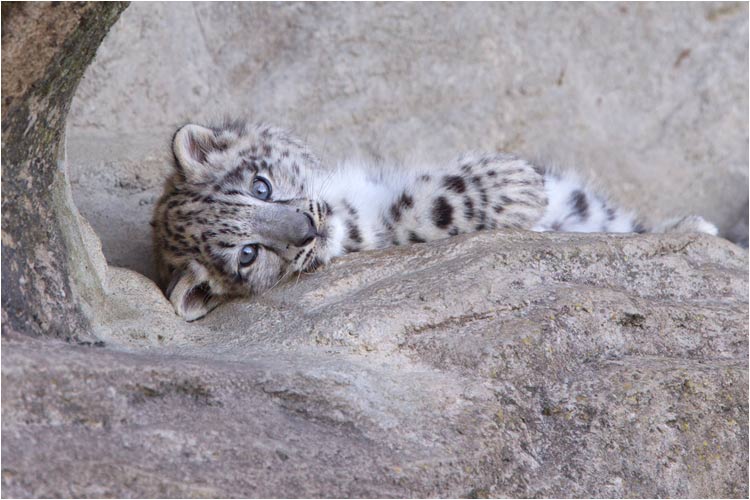 Bitte bitte, spielt mit mir!