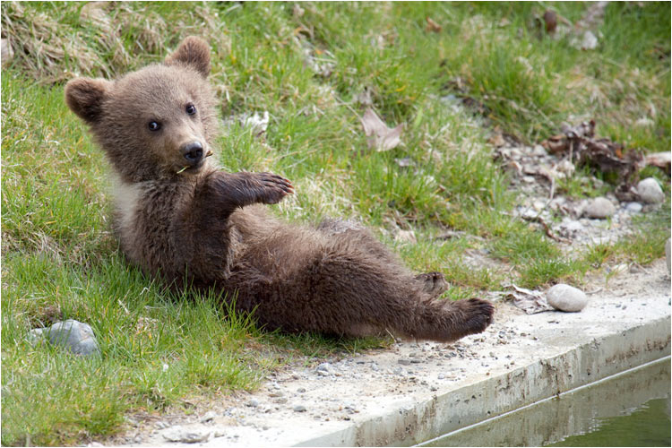 Nun die Sonne geniessen und trocknen