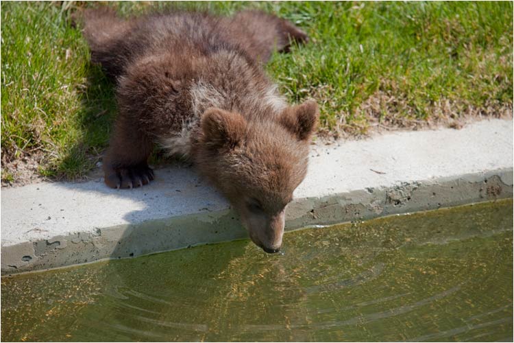 Beim trinken immer eine stabile Position einnehmen 