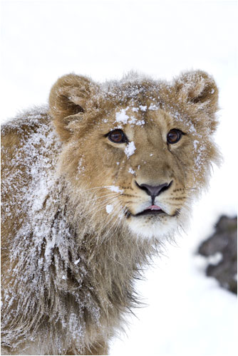  und es fällt einfach nicht runter