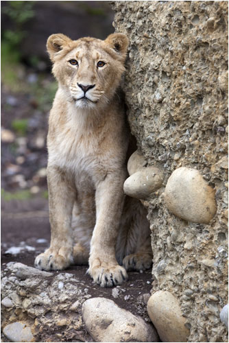 Jeevana ist auch schon ganz schön gross geworden
