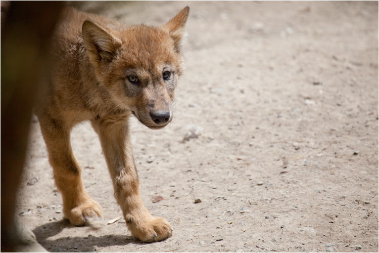 Hallo, schaust wieder mal Vorbei?