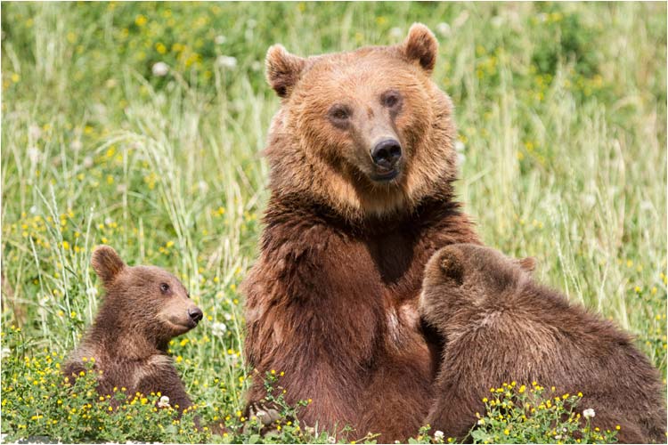 Mami ist für uns immer da.