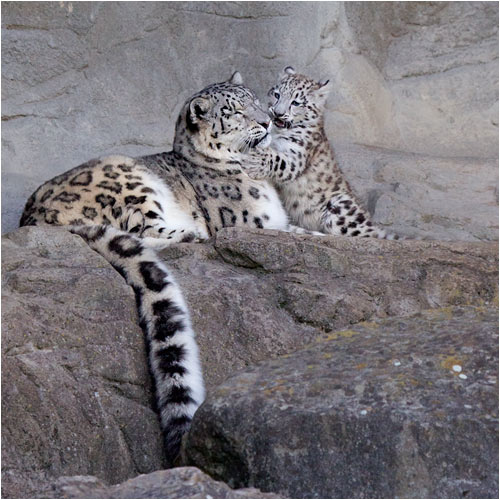 Hallo Mami, es ist wieder Zeit mit mir zu spielen!