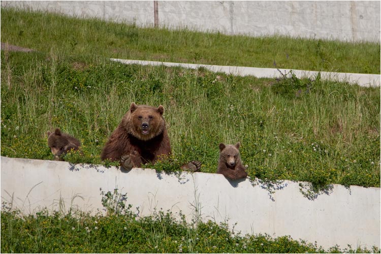 Schön sitzen, wir werden fotographiert!