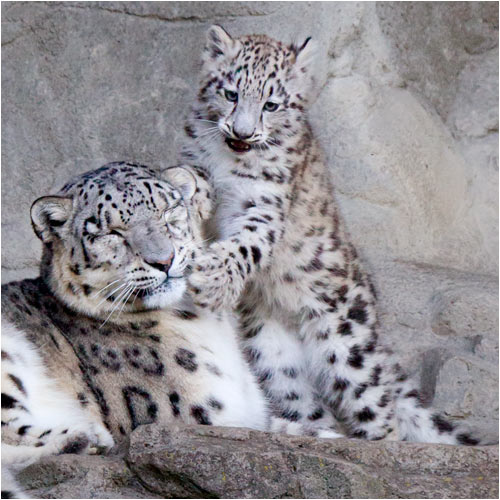 Mami beweg dich doch !