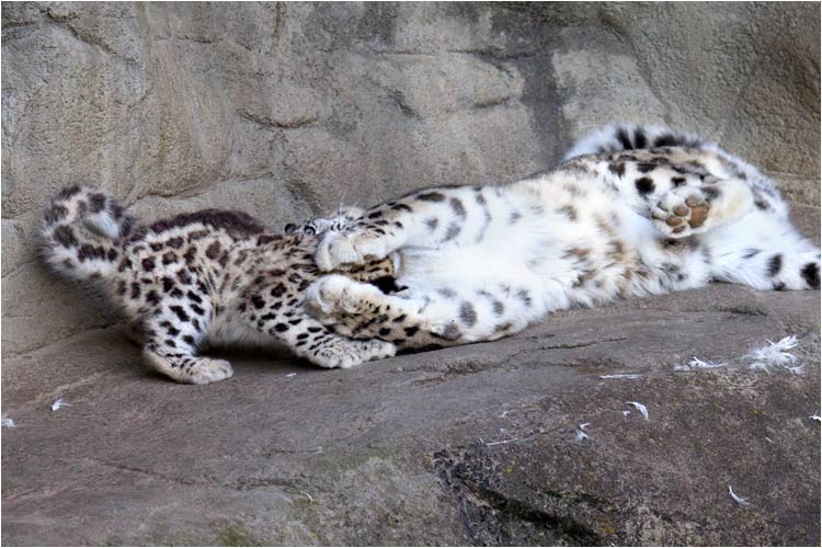 Ok, versuche doch mal dich freizumachen