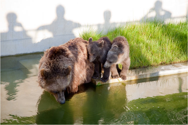 Mami macht du uns auch Platz?
