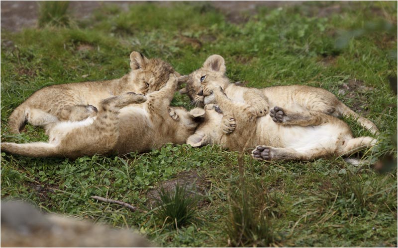 Jetzt spielen wir eine runde