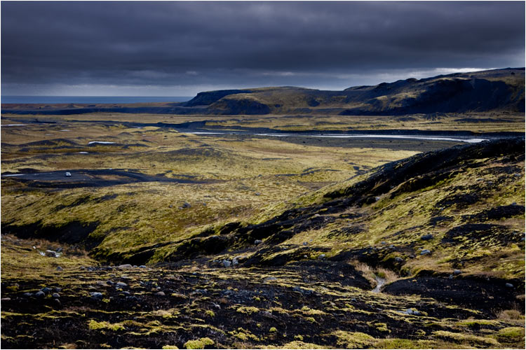 Bis jetzt schafft es nur Gras und Moos auf den vulkanischen Erdboden zu wachsen