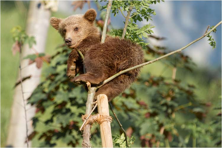 Von hier oben lässt sich die Sonne auch gut geniessen