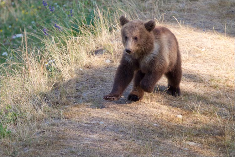 Nach eine Lange nacht Schlaff nicht wie raus