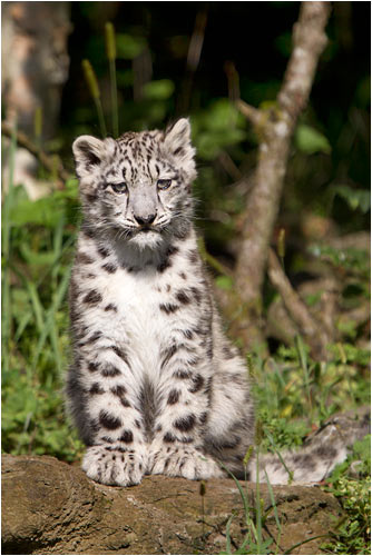 und weiter beobachten