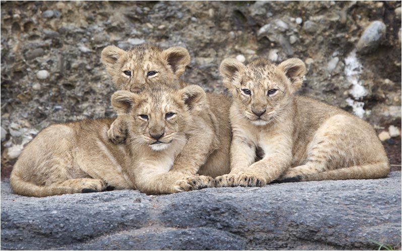 Erst mal pausieren für das Foto 