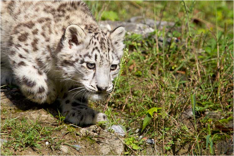 ...und sich dann langsam annähern