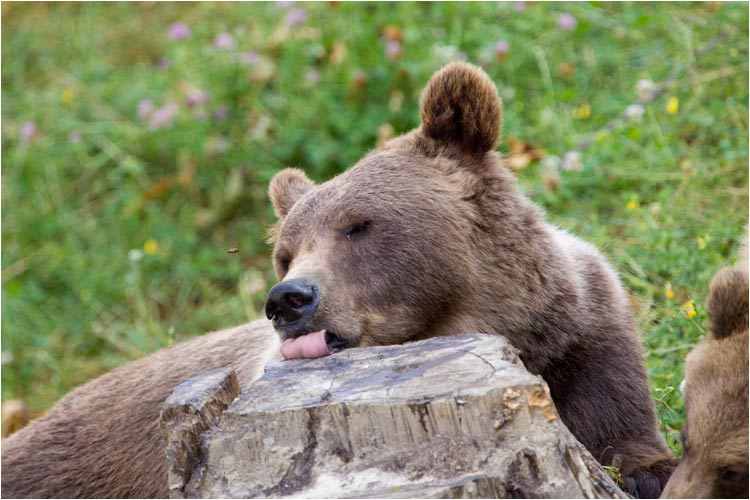 Mmmmmm.ist das gut!