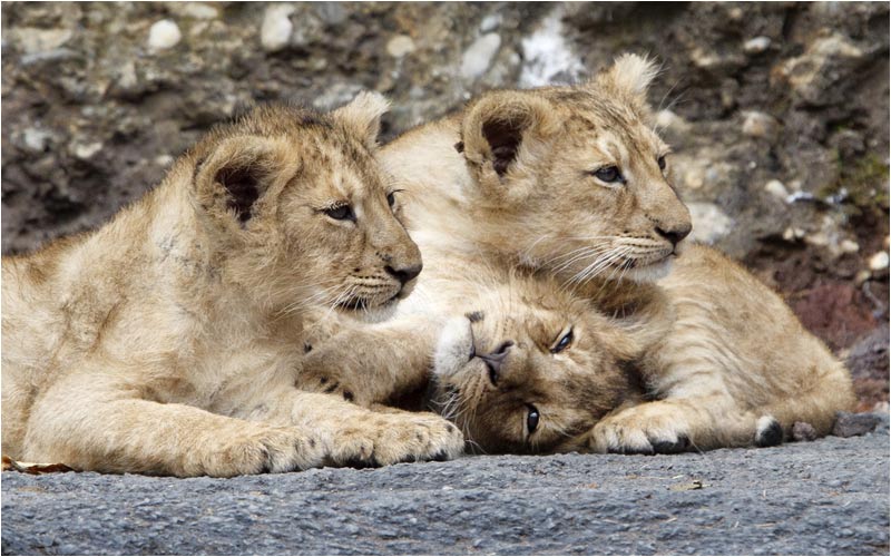 Hilfe! Ich bekomme keine Luft mehr 