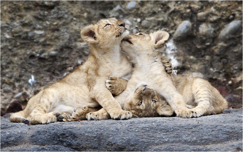  kann Jemandem mich hier rausholen? 