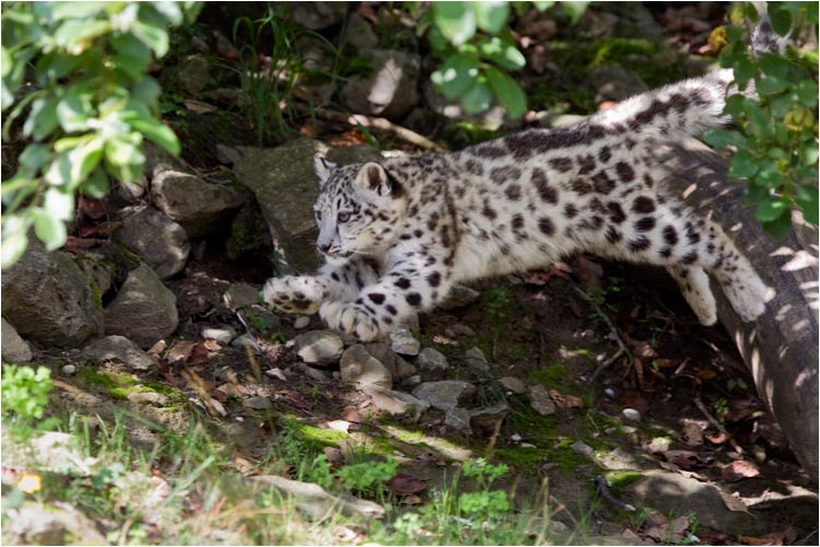 Übung macht der Meister
