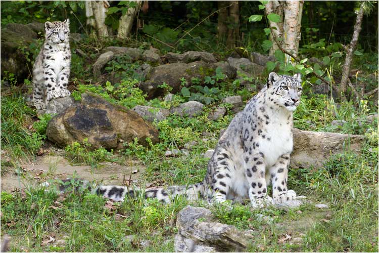 Mami macht es vor, Kind macht es nach